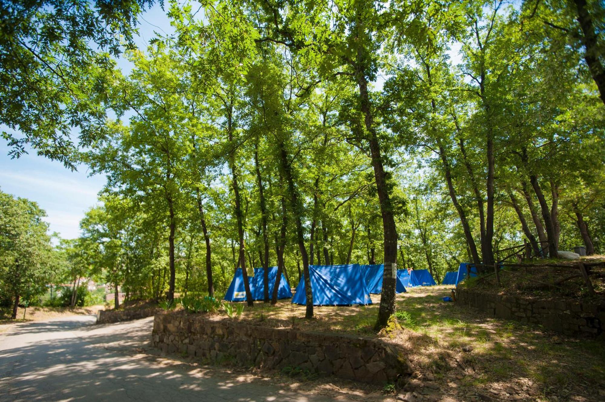 Hu Firenze Certosa Camping In Town Impruneta Bagian luar foto